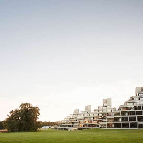 This image shows the zigguarts at the University of East Anglis