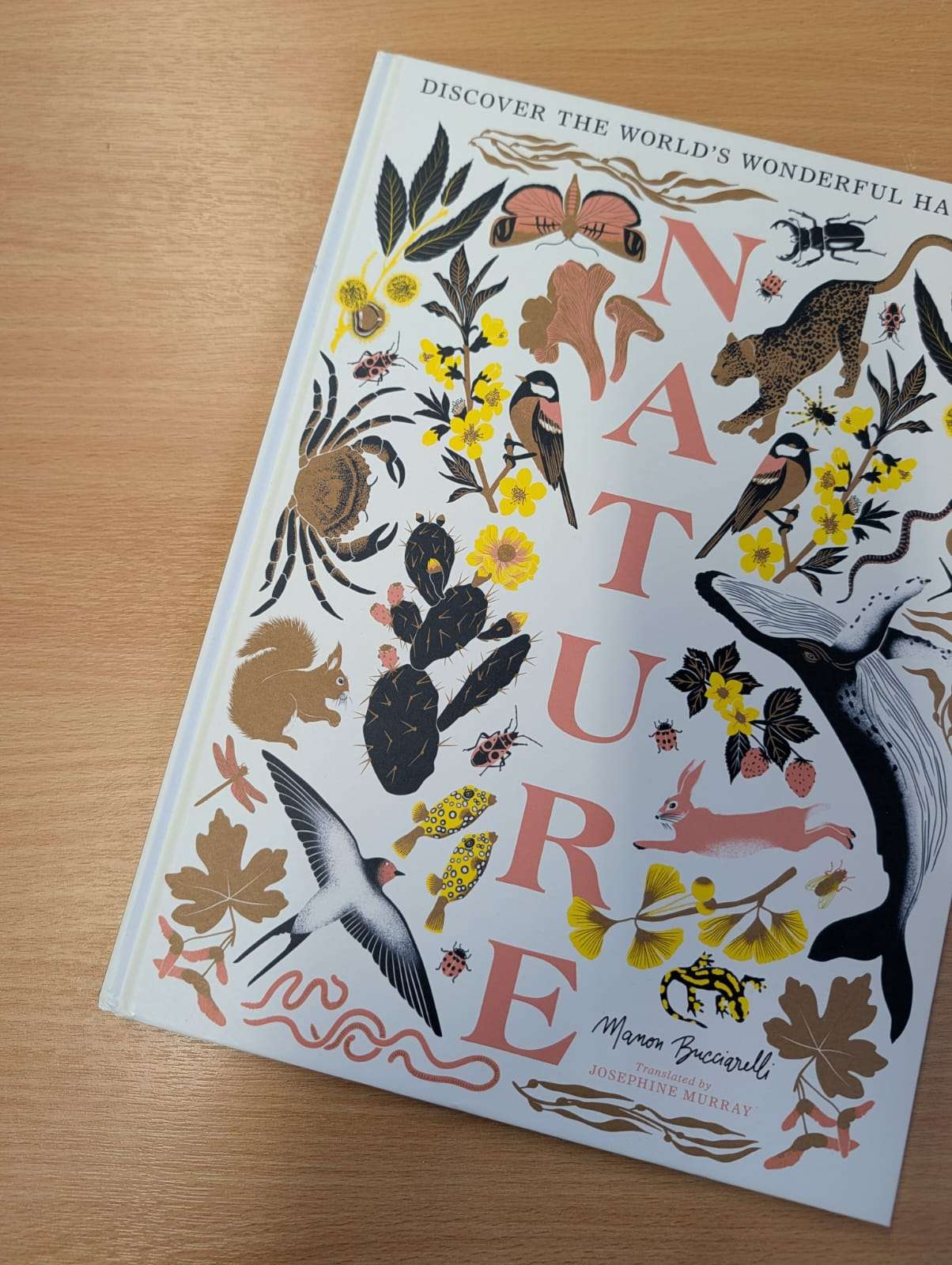 The cover of the book "Nature" by Manon Bucciarèlli, featuring a vibrant collage of illustrated animals, insects, and plants on a white background.