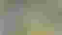 Loading image...