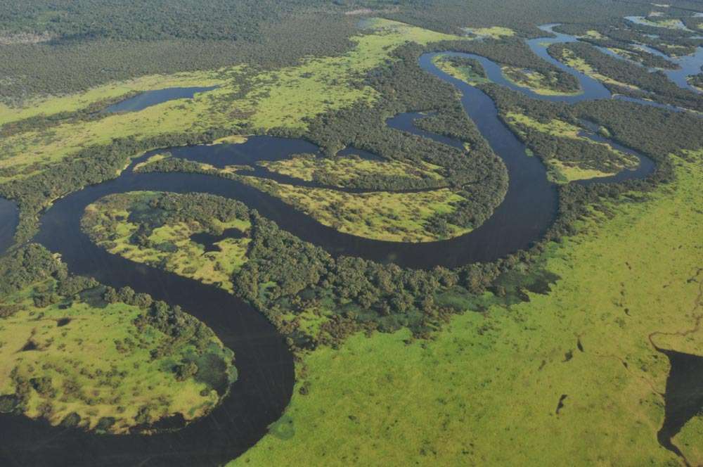Overhunting-threatens-rainforest-aerial-view-of-river.jpg