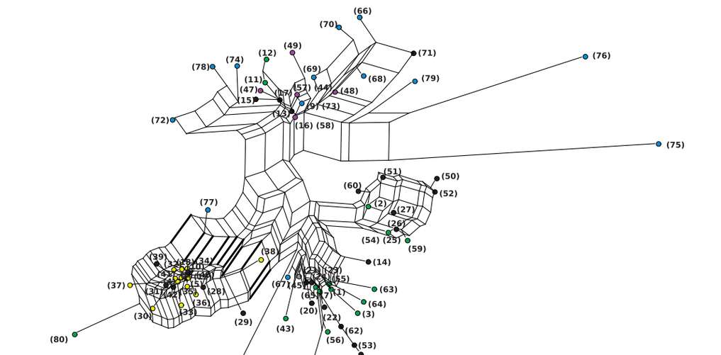 Phylogenetics banner fig 9