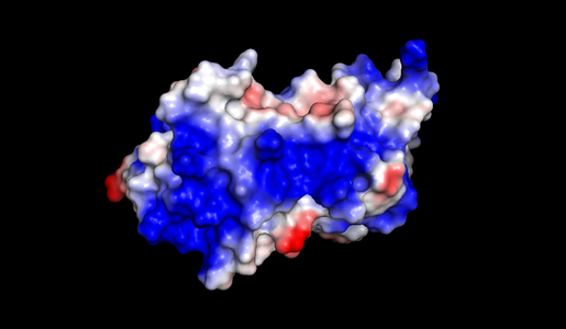 Structure of the LRP1 ligand TIMP-3