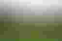 Loading Boomer Ziggurats_Ben Rodwell_40759.jpg...