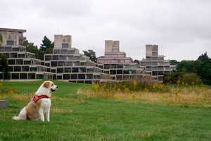 Boomer Ziggurats_Ben Rodwell_40759 (1).jpg