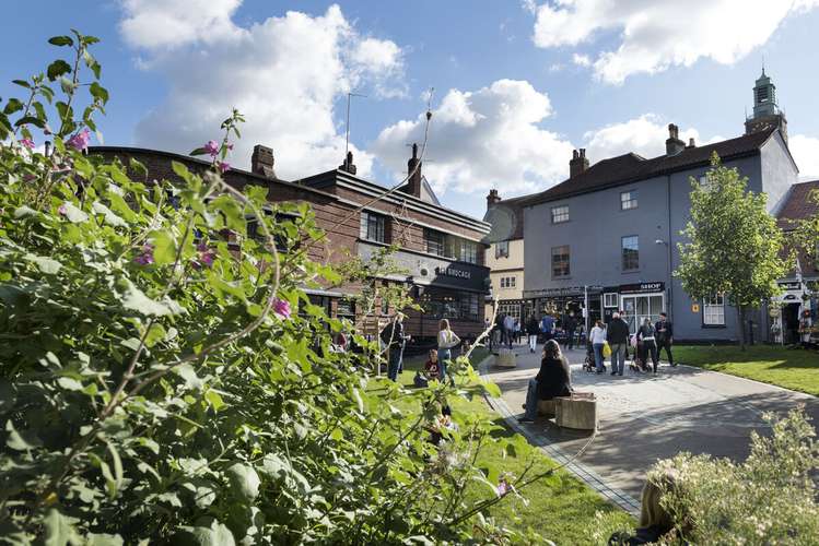 greenery in foreground with buildings and a street in the background