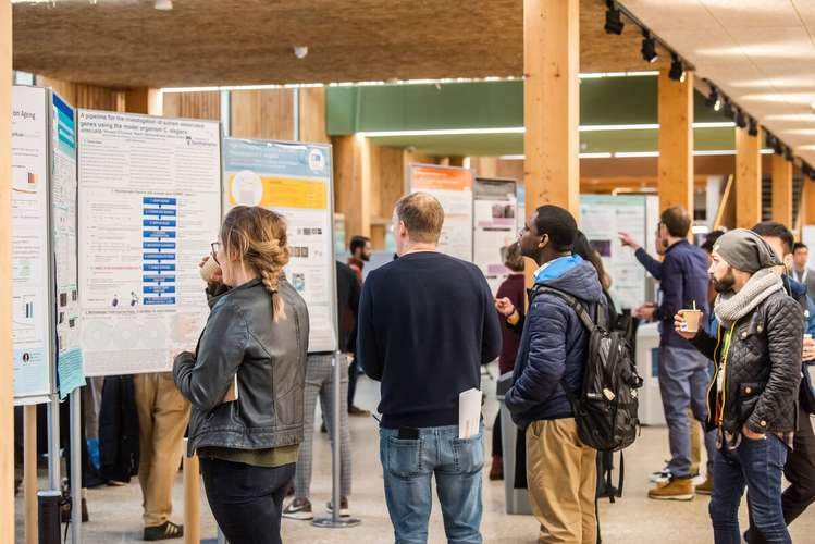 Group of people looking at various poster boards at a conference