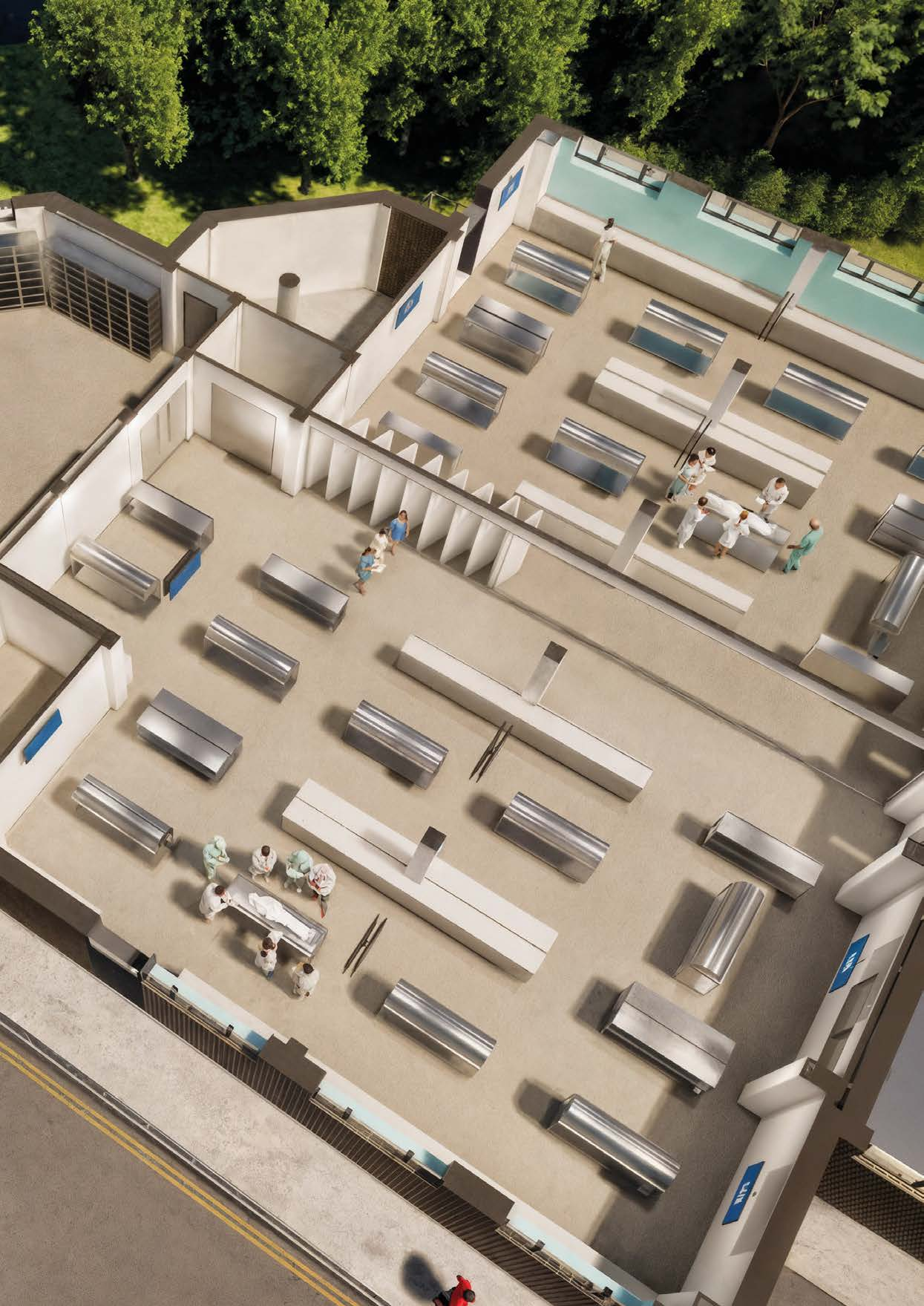 Clinical Anatomy Suite visualisation