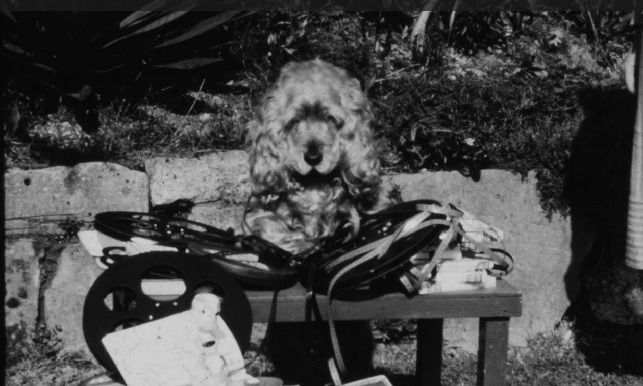 Camelot Film Magazine (1950)