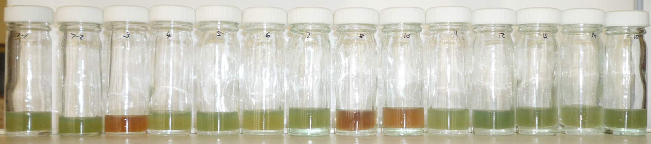 Row of glass containers on a shelf with white lids