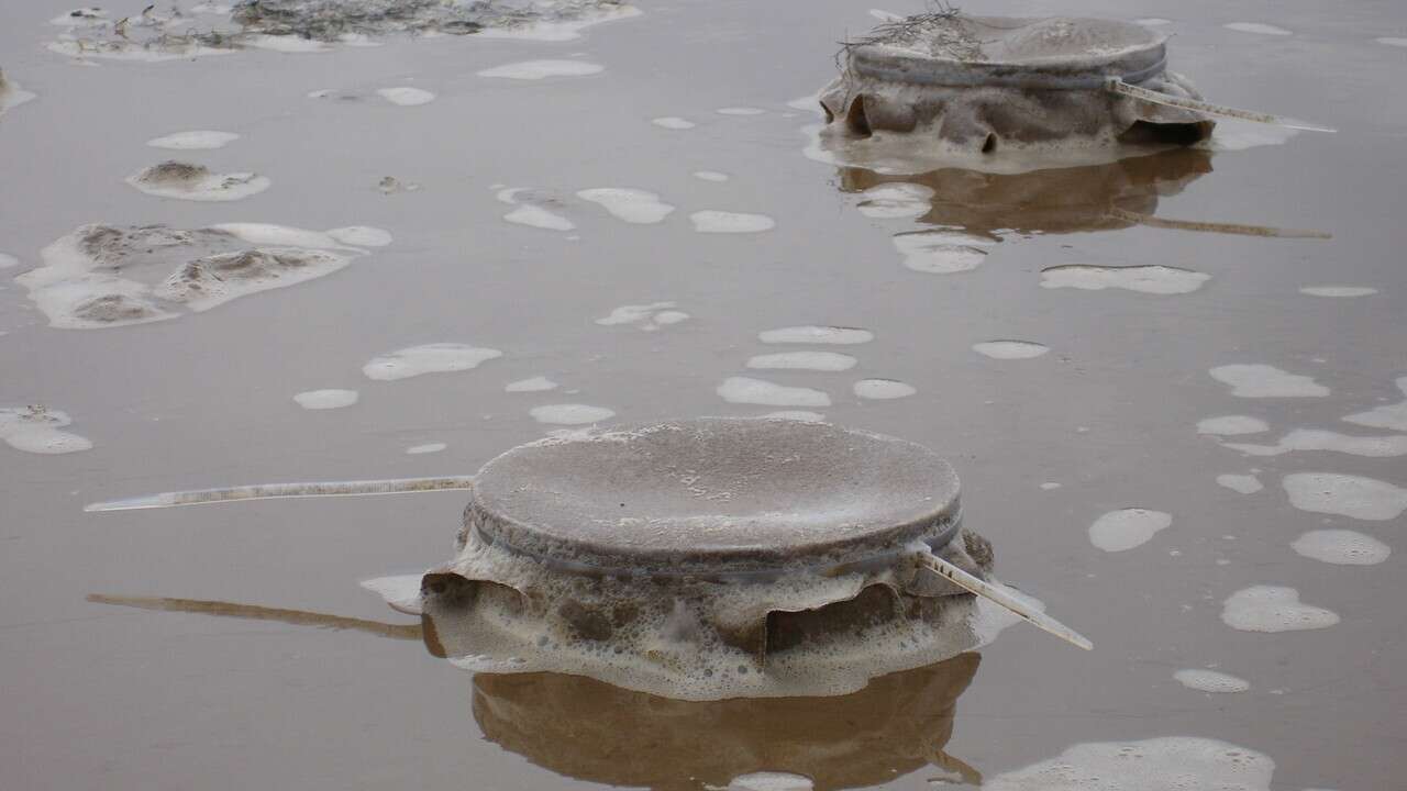 Breydon waters in Norfolk