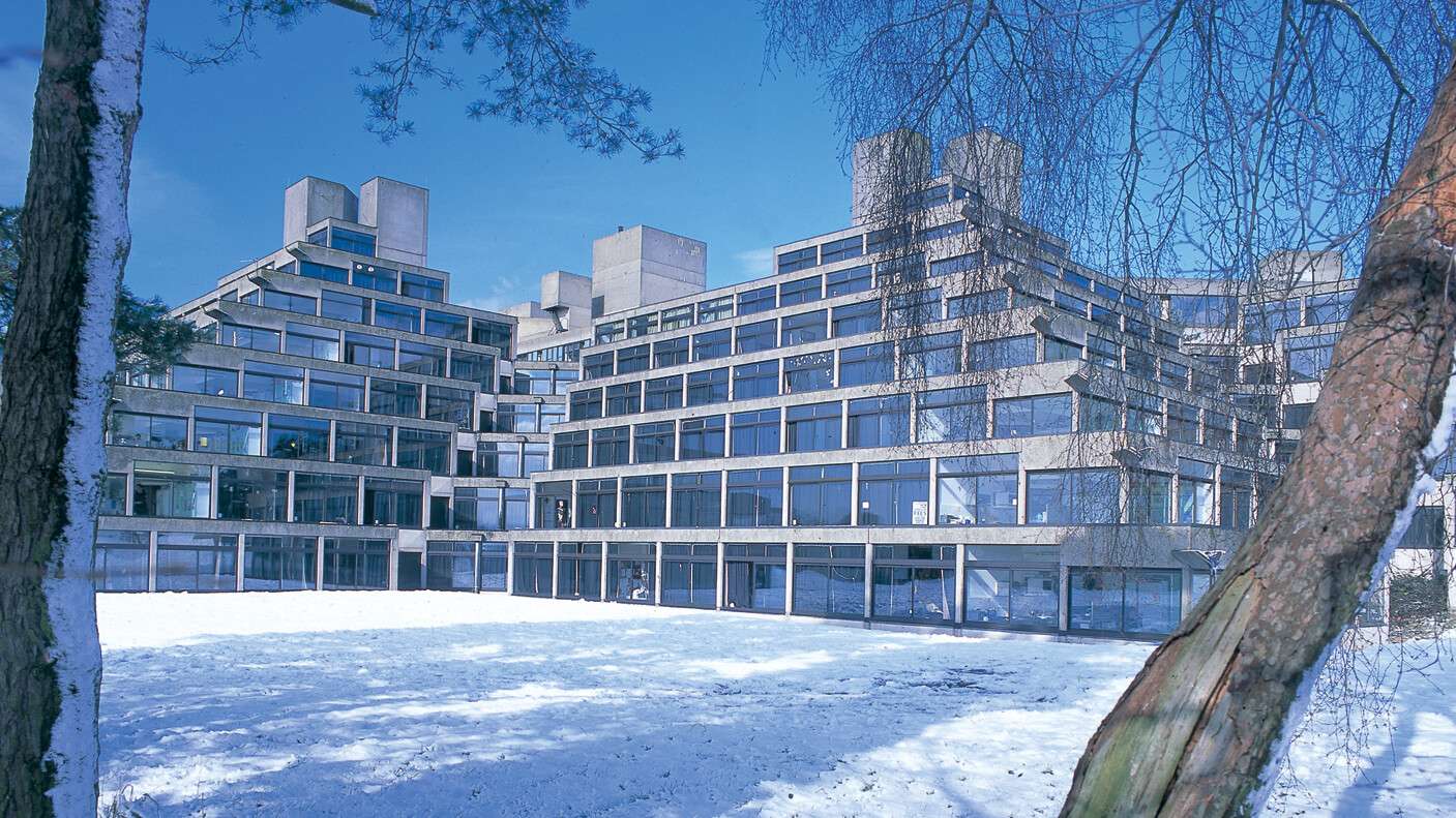 Ziggurats in the Snow