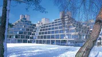 The UEA Ziggurats in the snow