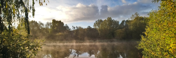 UEA Broad
