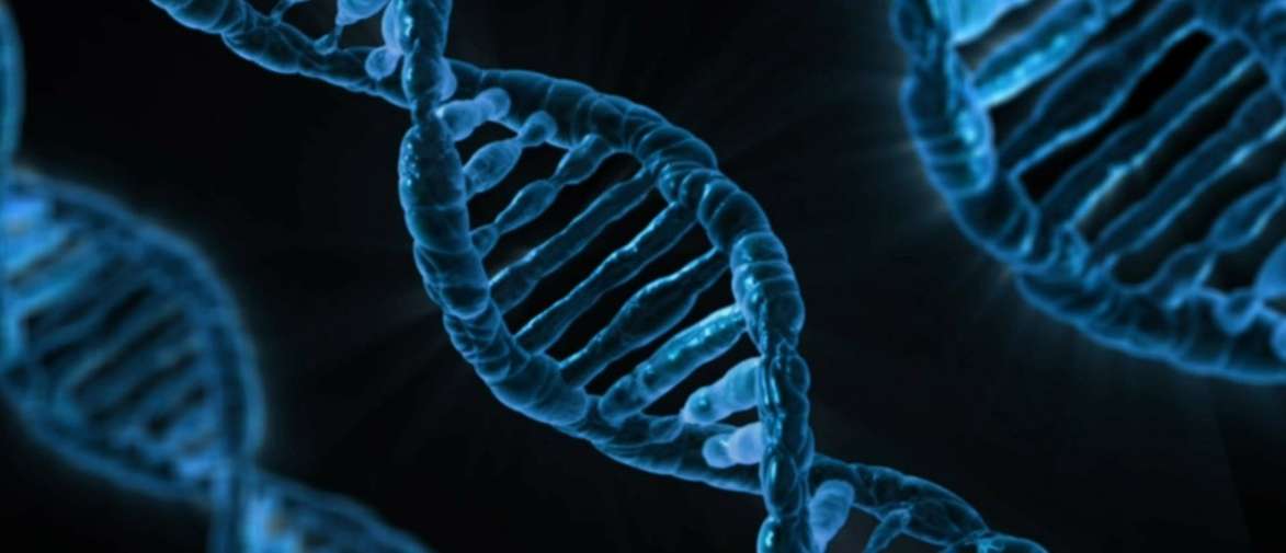 activating genetic switches dna