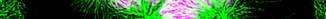 bio imaging microscopic image of cells