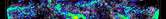 Planetary Climates