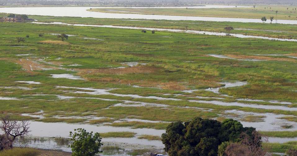 Survey along the River Niger