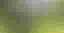 Loading image...