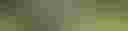 Loading image...