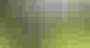 Loading image...