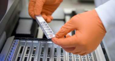 staff using facilities in norwich research park wearing orange gloves
