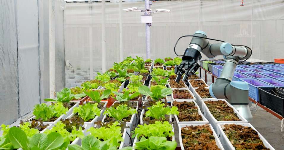 Smart Robot in an agricultural greenhouse