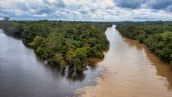 Picture of the Amazon river