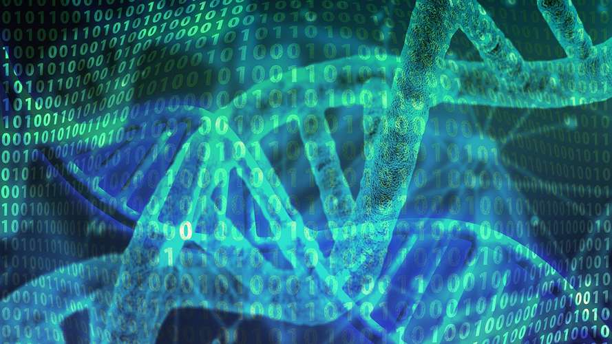 dna helix with numbers