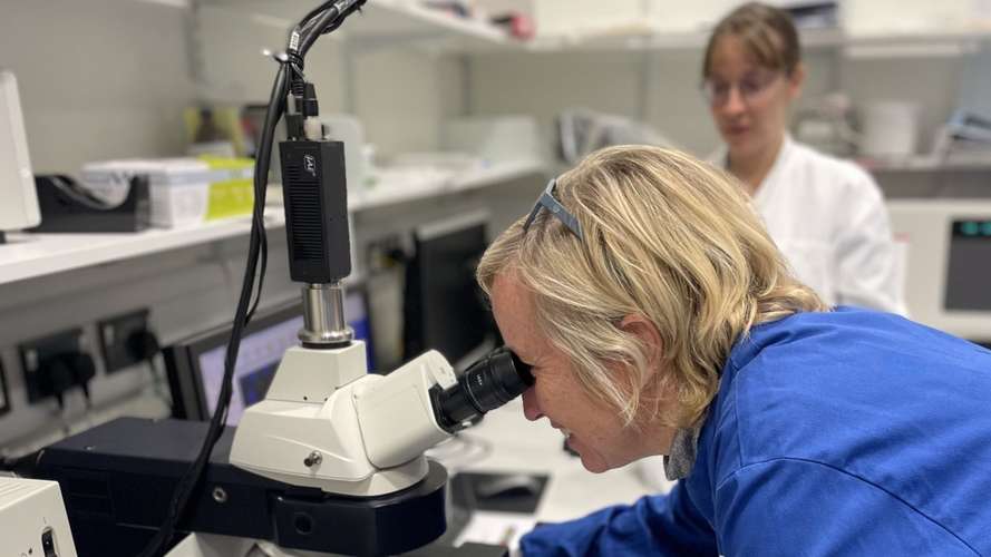 Researchers in the lab
