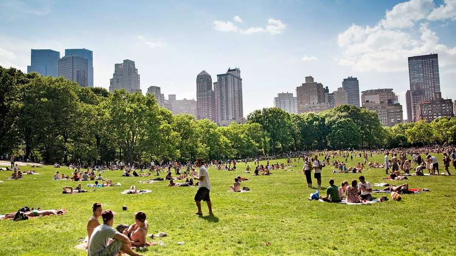 people sitting in park