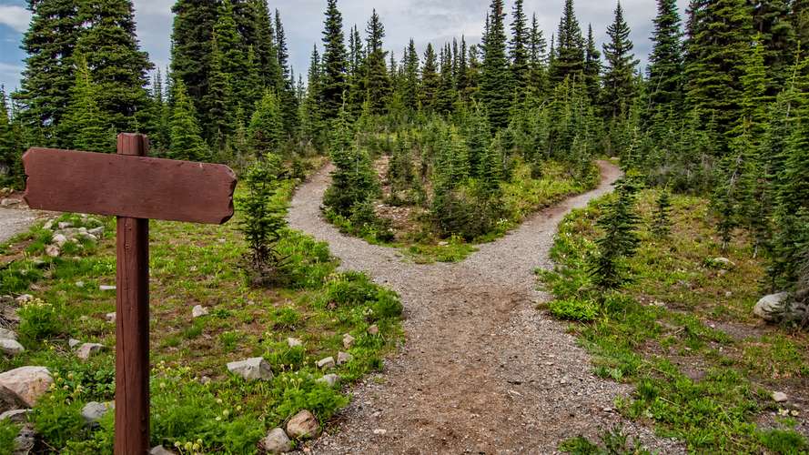 Sign and two pathways