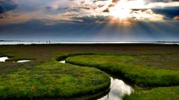 Norfolk Broads landscape river