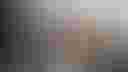 Loading image...
