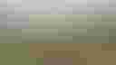 Loading image...