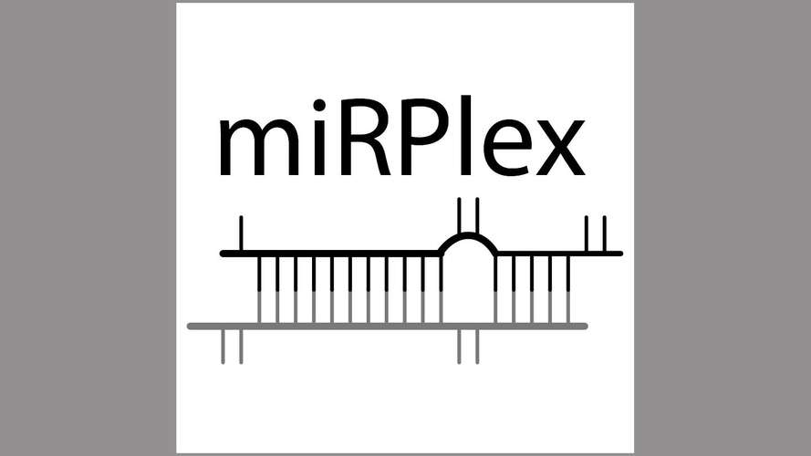 mirplex logo banner
