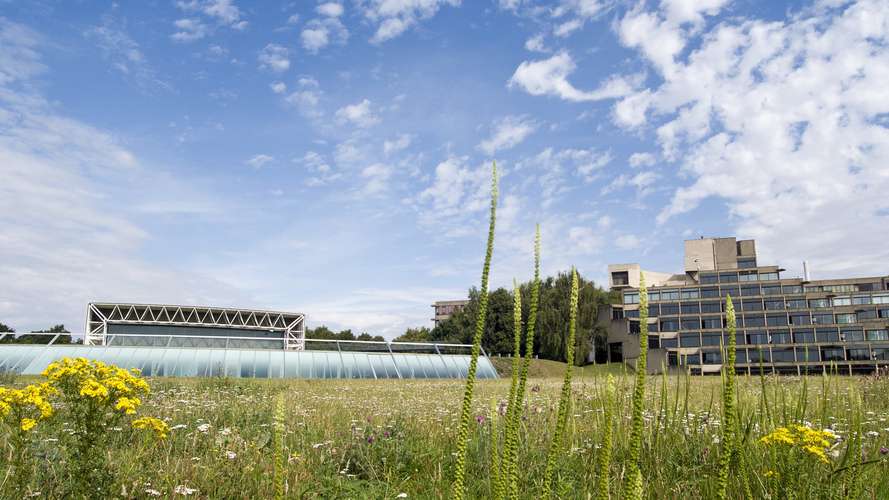 UEA campus