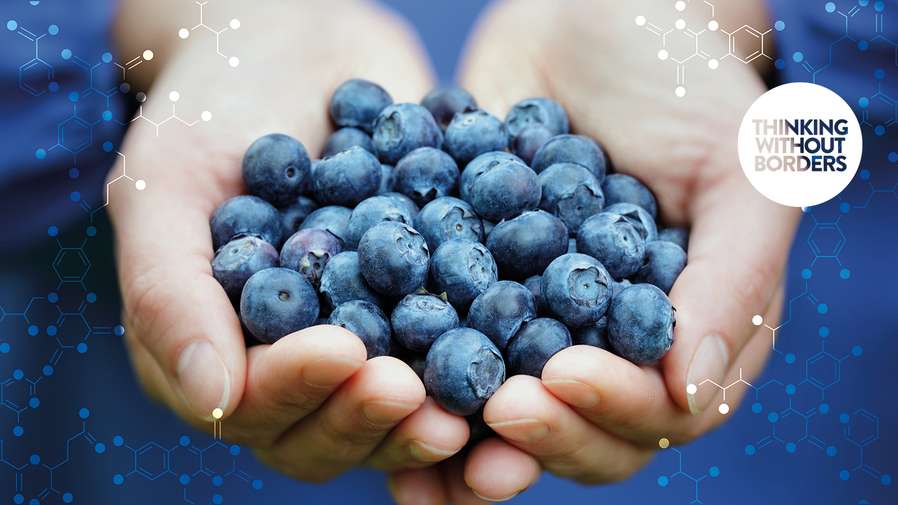 berries in hand