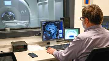 Researcher looking at scan of head in Wellcome-Wolfson Brain Imaging Centre