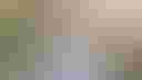 Loading image...