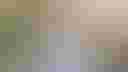 Loading image...