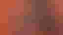 Loading image...