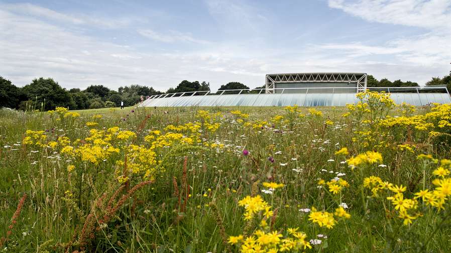 Campus - Sainsbury Centre for Visual Arts SCVA