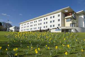 Why join UEA?