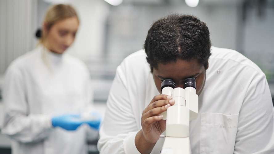 Students doing lab work at UEA's School of Biological Sciences