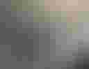 Loading image...