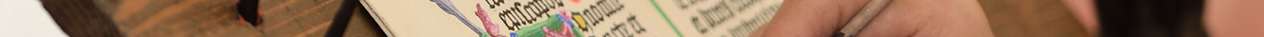 Image 1 description, Dolor blandit consequat hendrerit vivamus cursus quisque, mauris conubia euismod integer semper feugiat dictumst, etiam magna curabitur lacinia lobortis.