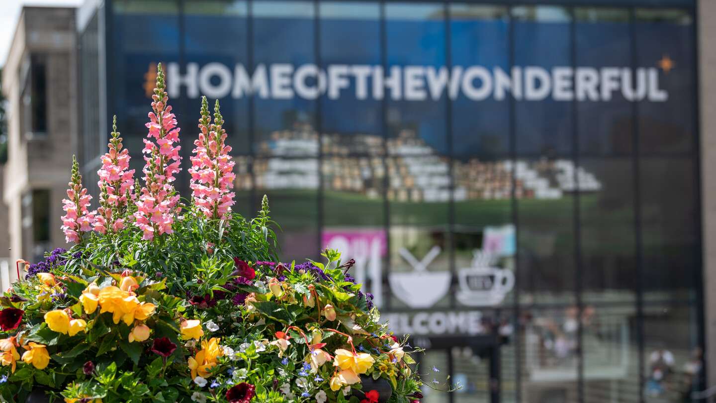 alt="Floral arrangement outside Campus Kitchen on UEA campus"