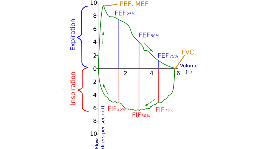 spirometry intext vs2