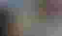 Loading image...