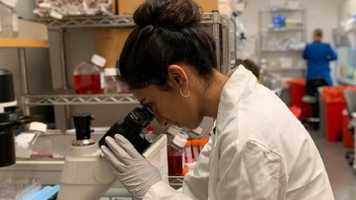 Qi Labs Group members working in a laboratory